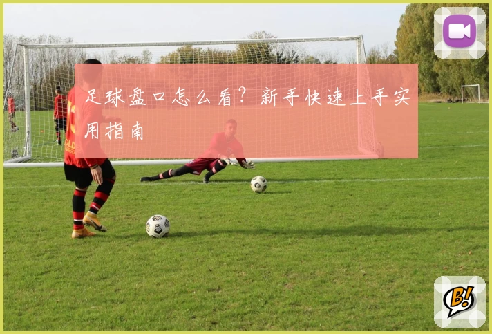 足球盘口怎么看?新手快速上手实用指南