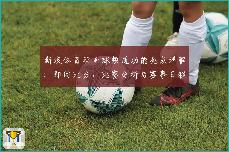 新浪体育羽毛球频道功能亮点详解：即时比分、比赛分析与赛事日程全覆盖