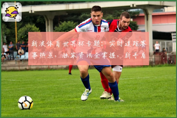 新浪体育世界杯专题：实时追踪赛事热点，独家资讯全掌握，新手看球必备攻略
