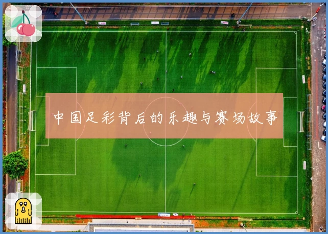 中国足彩背后的乐趣与赛场故事
