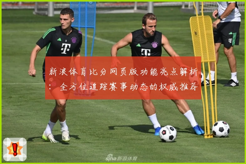 新浪体育比分网页版功能亮点解析：全方位追踪赛事动态的权威推荐