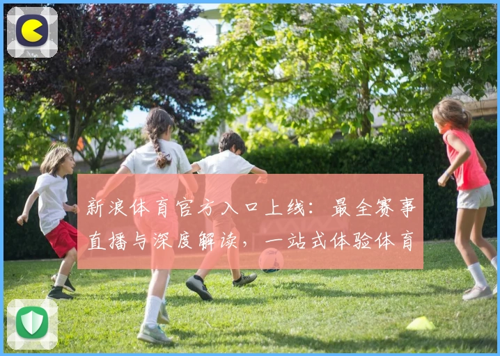 新浪体育官方入口上线：最全赛事直播与深度解读，一站式体验体育精彩瞬间