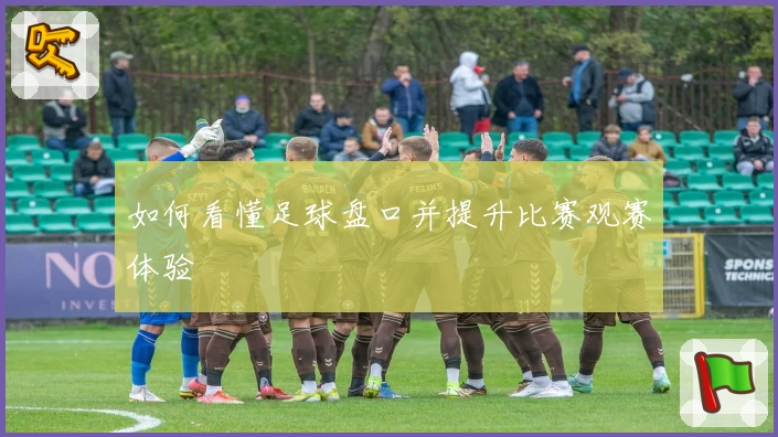 如何看懂足球盘口并提升比赛观赛体验