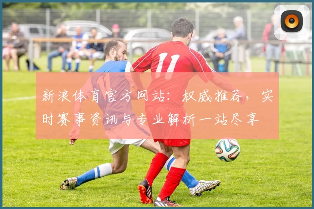 新浪体育官方网站：权威推荐，实时赛事资讯与专业解析一站尽享
