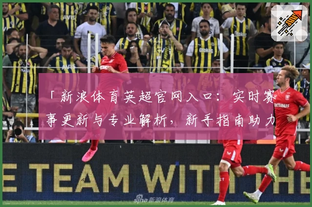 「新浪体育英超官网入口：实时赛事更新与专业解析，新手指南助力全面了解」