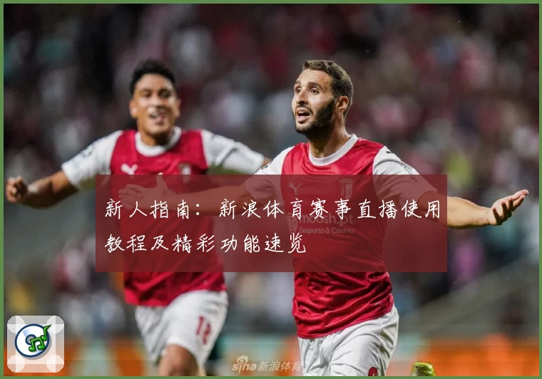 新人指南：新浪体育赛事直播使用教程及精彩功能速览