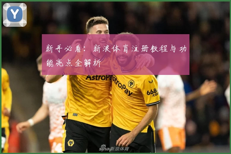 新手必看：新浪体育注册教程与功能亮点全解析